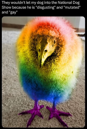 gay bird