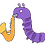 antapex