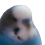 Birbo