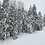 Blizzard