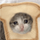 Cat_Bread