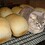 Loaf