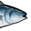 MrTuna