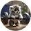 nopethenoob
