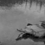 Panzer_of_the_lake Panzer_of_the_lake