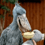 ShoebillEnjoyer