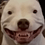 SLOTHFACE