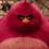 Suddy123