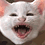 Tchinka