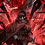 the_wingler