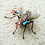 TheCoolFly