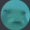 thefimsh