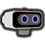 toadguy19